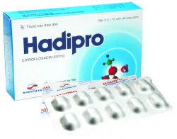 Hadipro